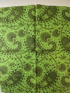 Green Paisley Fabric 18x22 Quilting Craft Piece